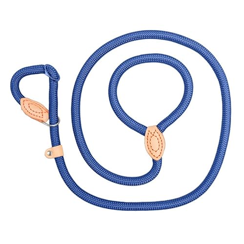Ramp King Dog Leashes for Car, Blue, 7-Inch