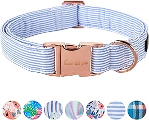 Paws Dog Collar Metal Buckle Blue Stripe Gift for Cute Dogs