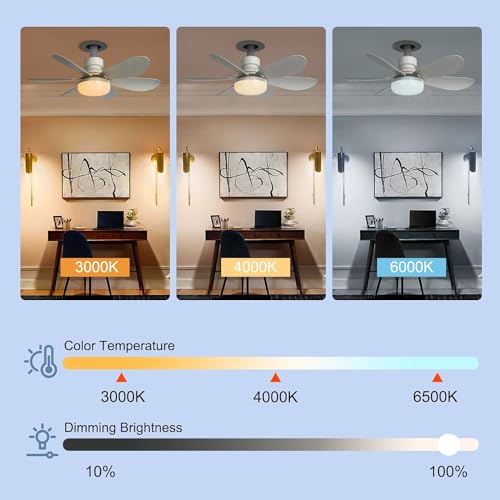 DGE E27 Socket Fan Light Combo, Silent Remote Fans with Dimmable LED, Wireless for Garage Kitchen Bedroom - Energy Class A