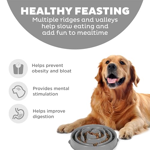 Outward Hound Slow Feeder Bowl for Medium to Large Dogs, Puzzle Maze, Prevents Bloat, Holds 4 Cups, Non-Slip, BPA-Free, Gray