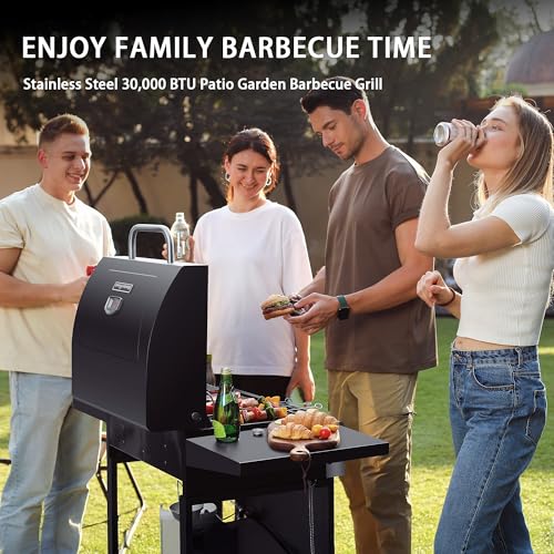 MASTER COOK 3 Burner BBQ Gas Grill, Stainless Steel 30K BTU with Foldable Shelves - Patio Garden Barbecue