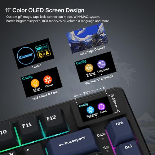 Womier S-K80 75% Keyboard with Color Display, Hot Swappable RGB Gaming Keys