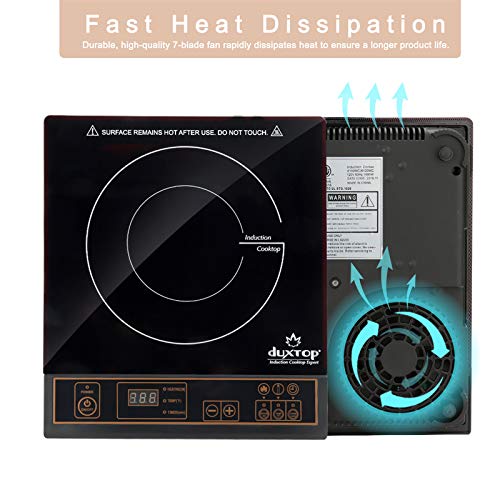 Duxtop Portable Induction Cooktop Burner, 1800W, Gold