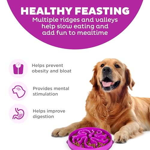 Outward Hound Slow Feeder Bowl, Puzzle Maze for Fast Eaters, Large Dogs, Prevents Bloat, Holds 4 Cups, Non-Slip, Purple