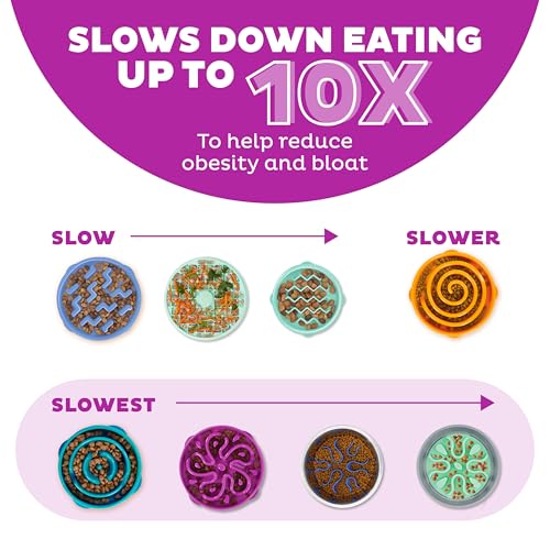 Outward Hound Slow Feeder Bowl, Puzzle Maze for Fast Eaters, Large Dogs, Prevents Bloat, Holds 4 Cups, Non-Slip, Purple