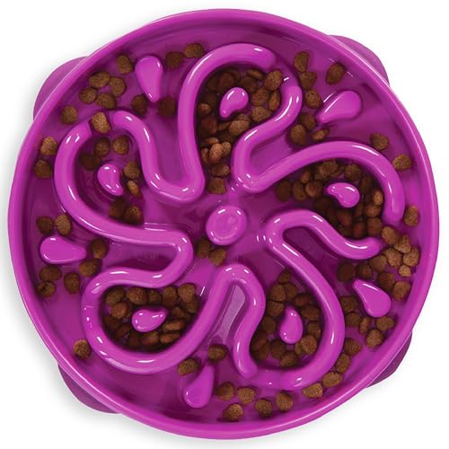 Outward Hound Slow Feeder Bowl, Puzzle Maze for Fast Eaters, Large Dogs, Prevents Bloat, Holds 4 Cups, Non-Slip, Purple