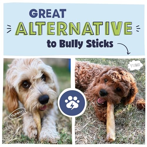 Pawstruck Beef Collagen Sticks for Dogs, Long-Lasting Chew with High Protein & Low Fat - Chondroitin & Glucosamine, 5 Pack