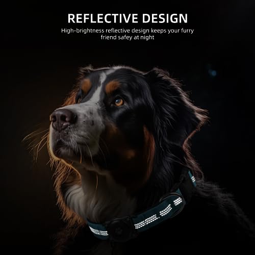 Dogness AirTag Dog Collar Holder, Reflective & Waterproof, Comfortable Padded, Heavy Duty, for Small Medium Large Dogs in Blue