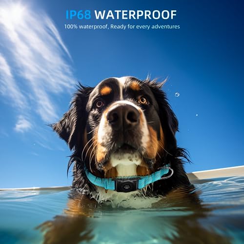 Dogness AirTag Dog Collar Holder, Reflective & Waterproof, Comfortable Padded, Heavy Duty, for Small Medium Large Dogs in Blue