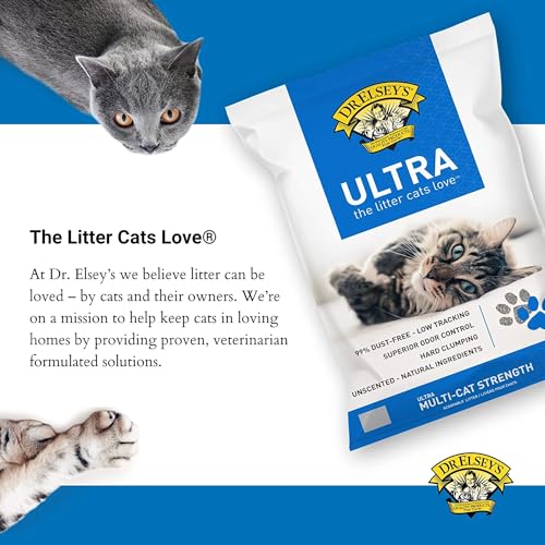 Dr. Elsey's Unscented Clumping Cat Litter - 40 lb Bag