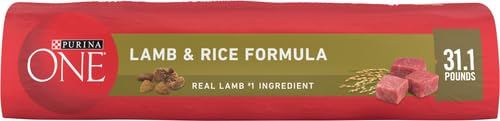 Purina ONE Lamb & Rice Dry Dog Food - Nourishing Formula, 31.1lb